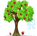 Картинки по запросу картинки для детей яблоня